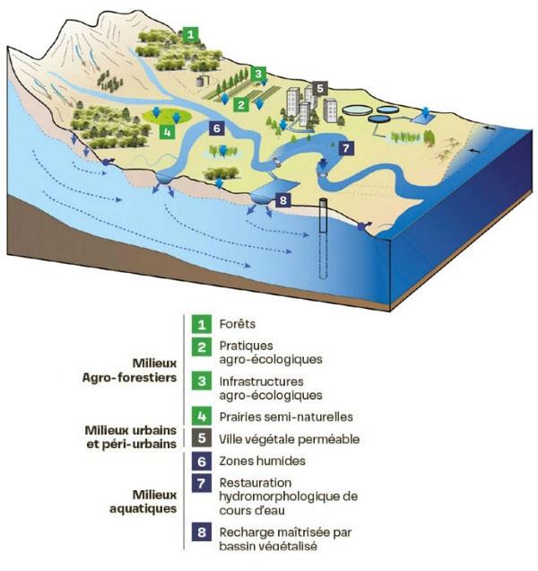 Huit types de SFN (Solutions Fondées sur la Nature) pouvant être mobilisés dans un objectif de gestion durable des eaux souterraines.