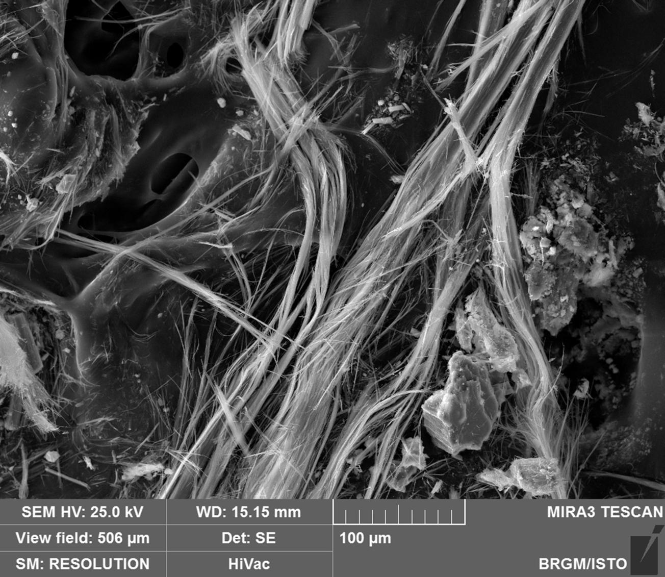 Paquets flexueux de fibres asbestiformes observés au MEB 