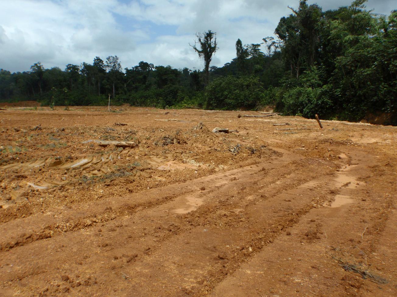 Zone minière après régalage du sol en Guyane 
