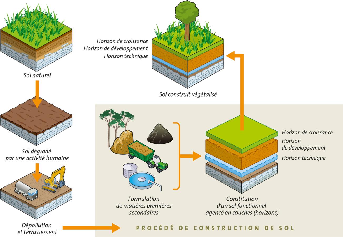 Schéma de synthèse illustrant l'intégration du procédé de construction de sol 
