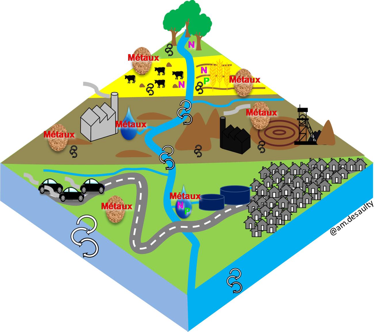 Principales sources de métaux, azote (N) et phosphore (P) dans les bassins versants 
