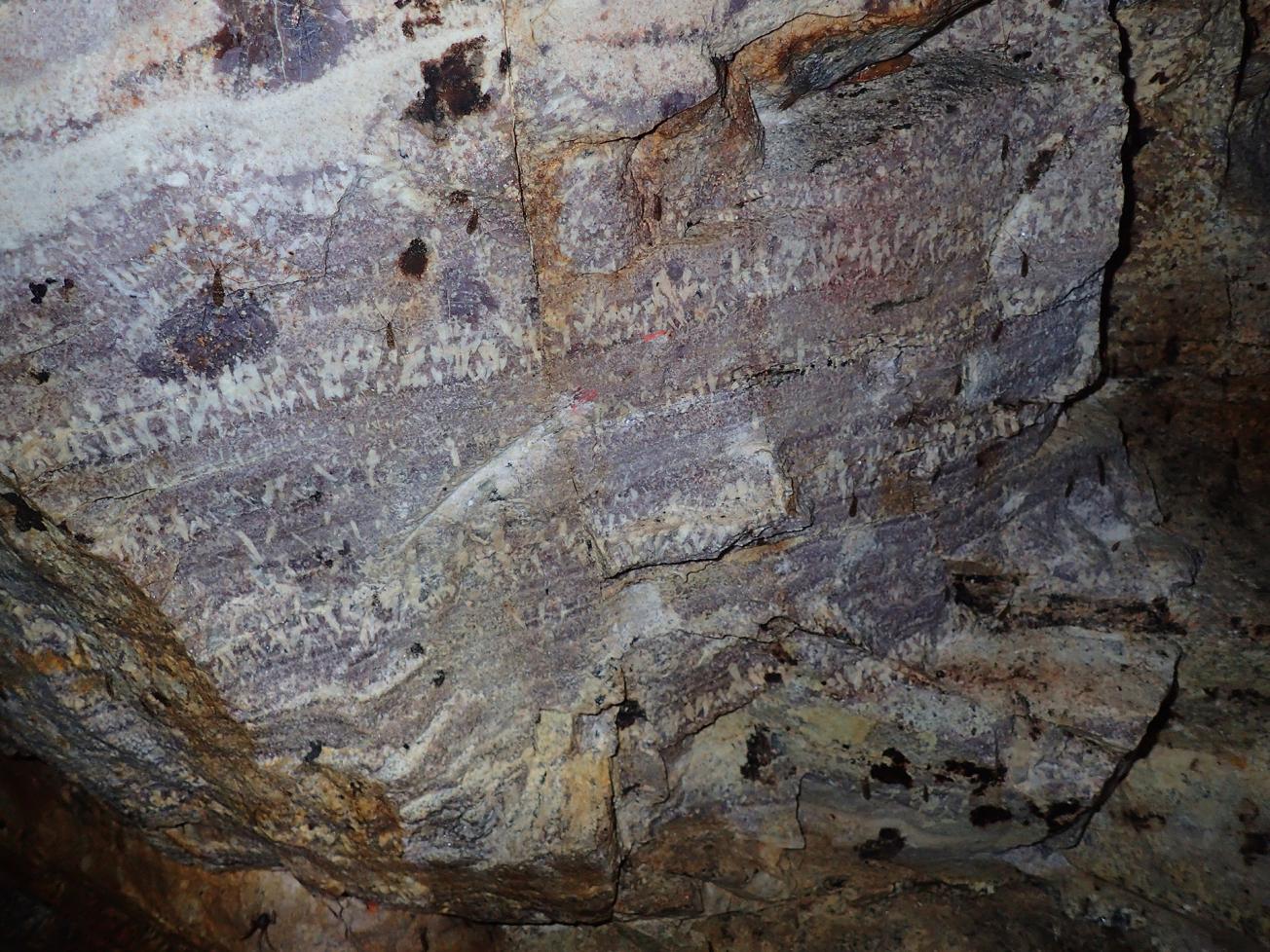 Example of lithium mineralisation which caused the violet colour of this magmatic rock at Ambazac, in the Limousin region 