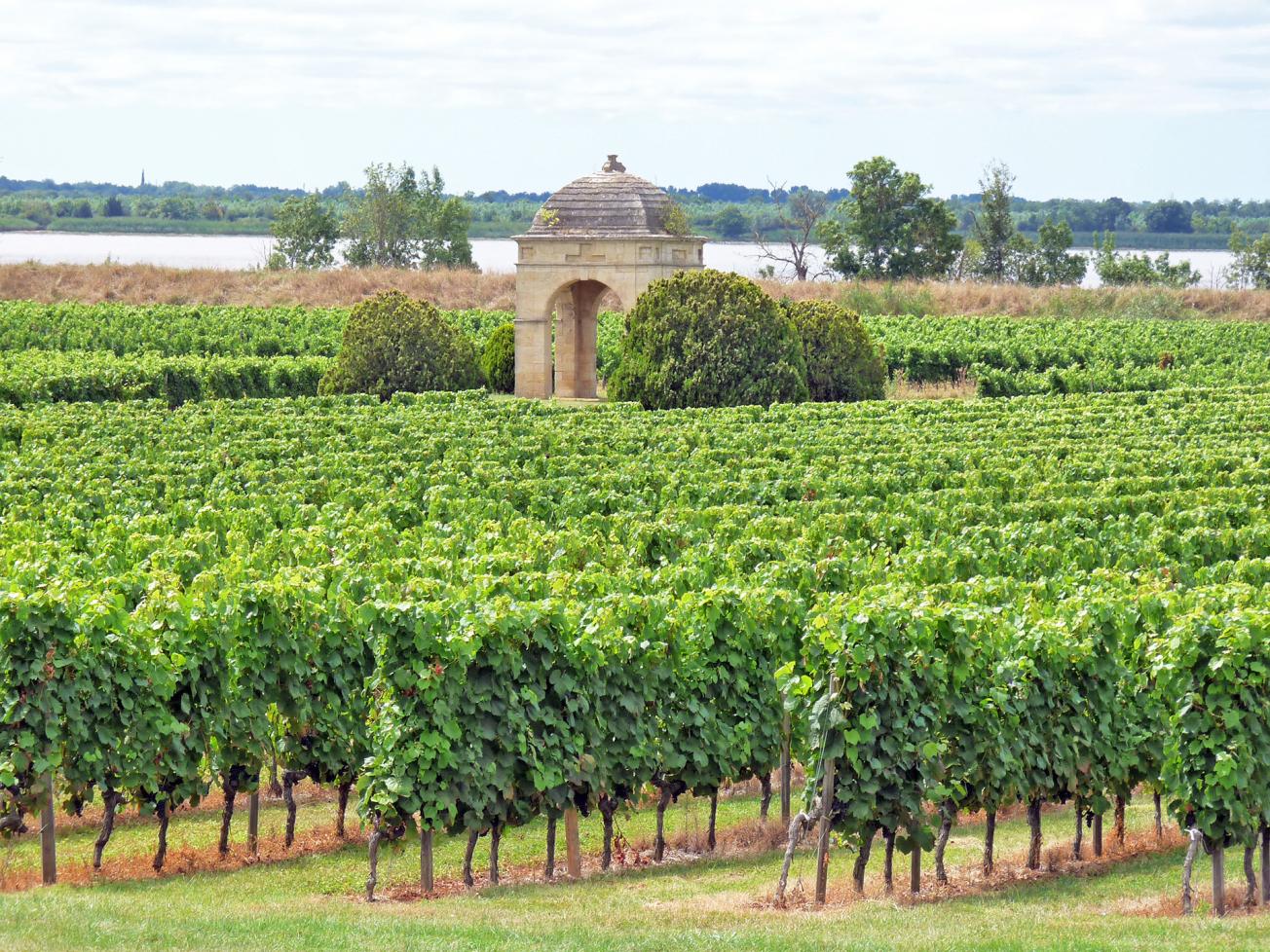 Bordeaux vineyards, Château de Barbe - Côtes de Bourg, Villeneuve.