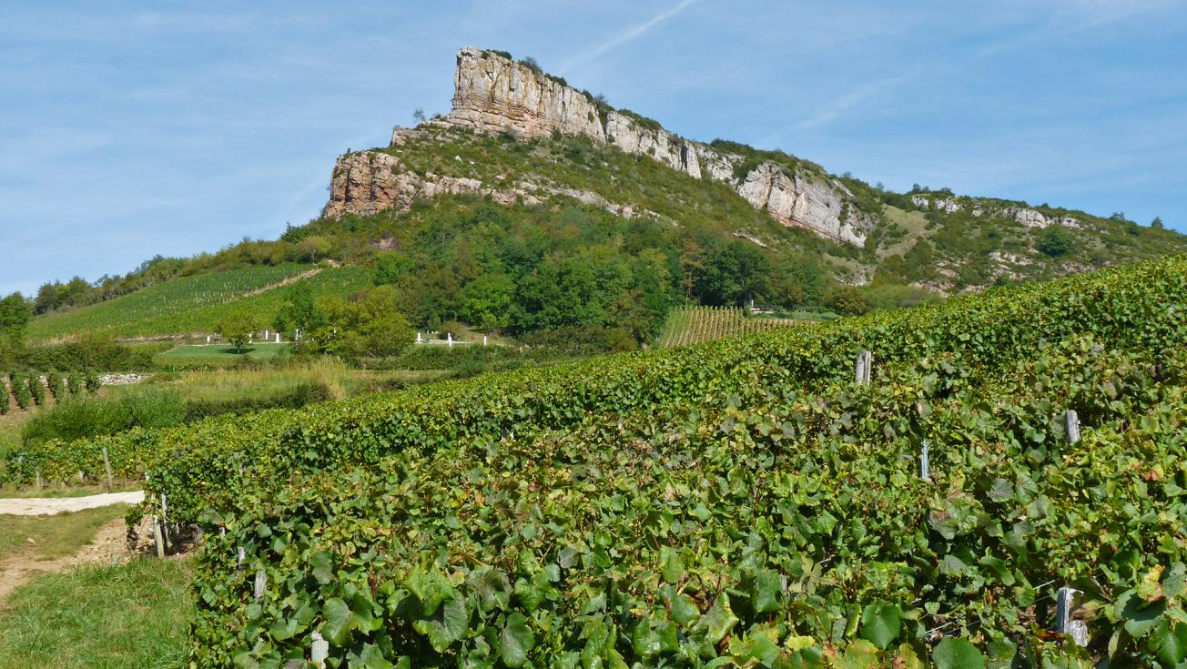 Roche de Solutré (493 m) composée de roches calcaires et marneuses âgées du Jurassique et dominant les vignes de l’appellation Pouilly-Fuissé. 