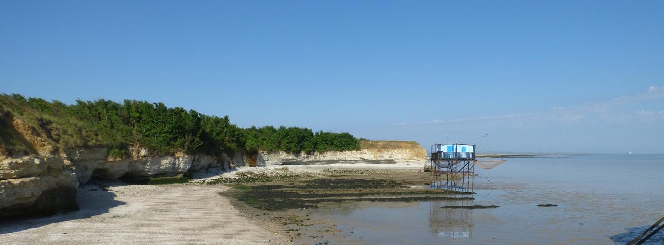 Falaises de l’Île Madame (Port-des-Barques, Charente-Maritime, 2021). 