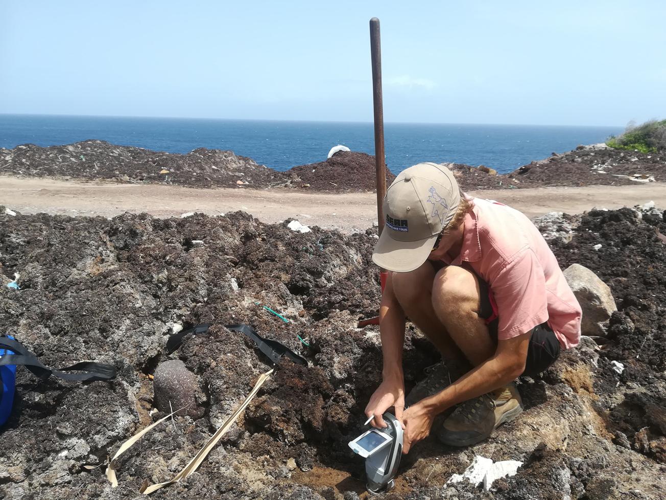 FluoX measurements of metal content at a sargassum storage site (Terre-de-Bas, Guadeloupe, 2019).
