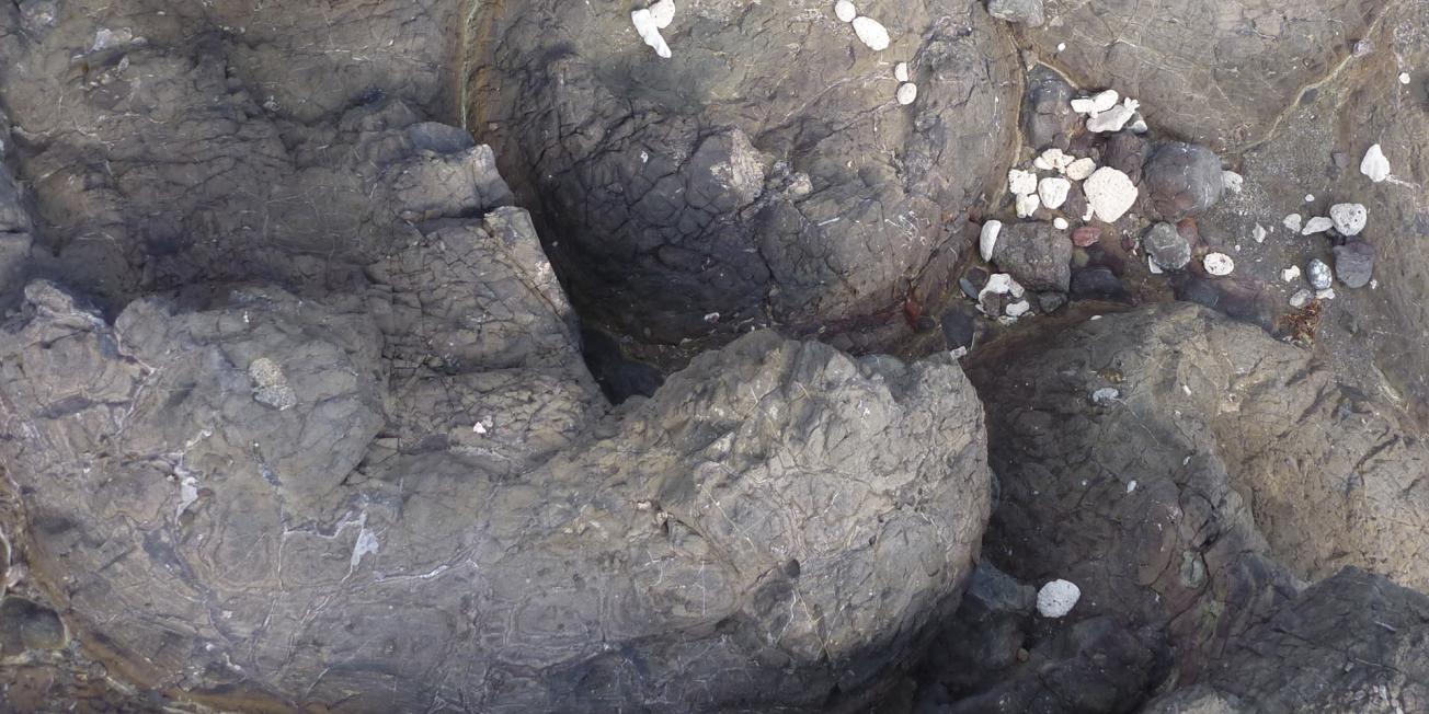 Des structures en coussins (pillow lavas) très bien conservées dans des coulées de lave sous-marines d’âge fin Jurassique à la Désirade (La Désirade, Guadeloupe, 2009).