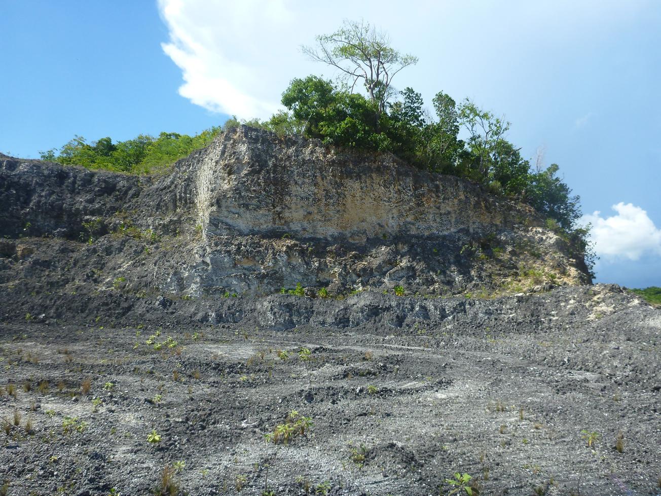 Example of an escarpment showing lithostratigraphic unit U5 (limestone with Acropora coral), an extremely hard formation whose spatial extent is delimited by an analysis of EM soundings. 