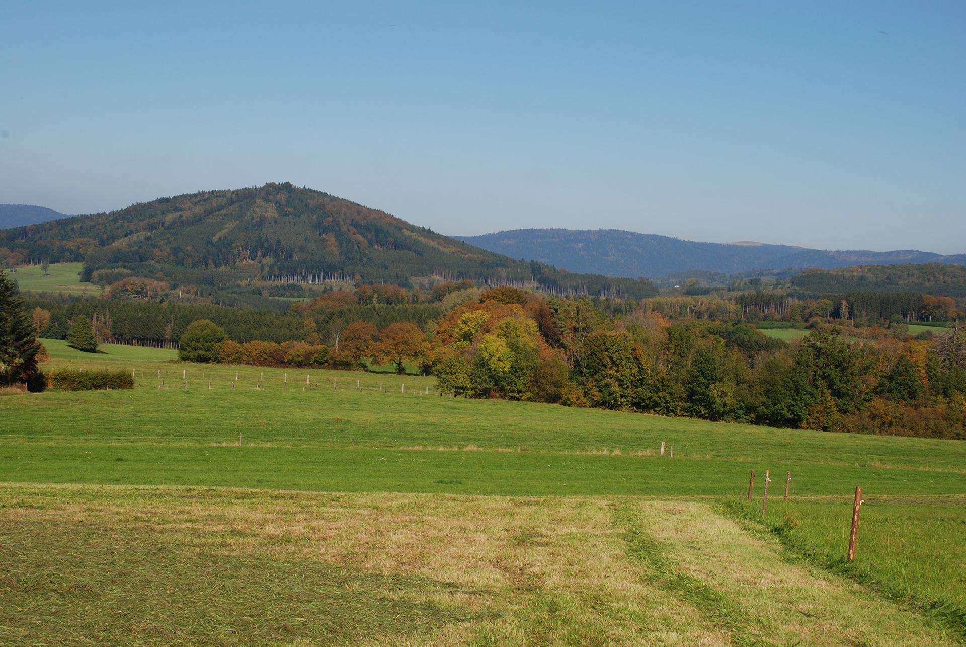 Landscape of the Northern Vosges 