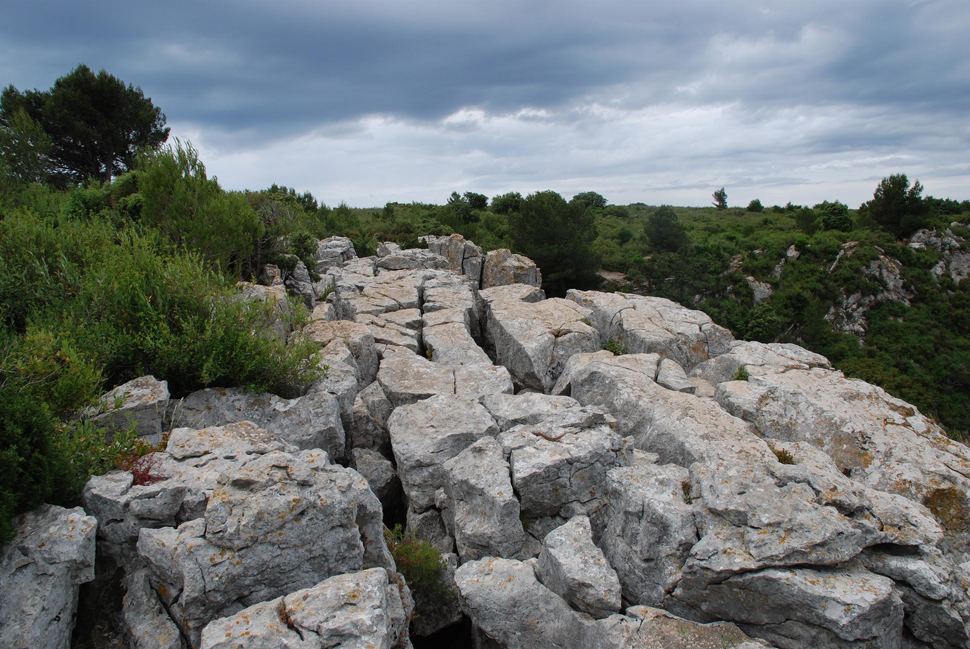 Lapiaz dug by karstic erosion in limestone soils 