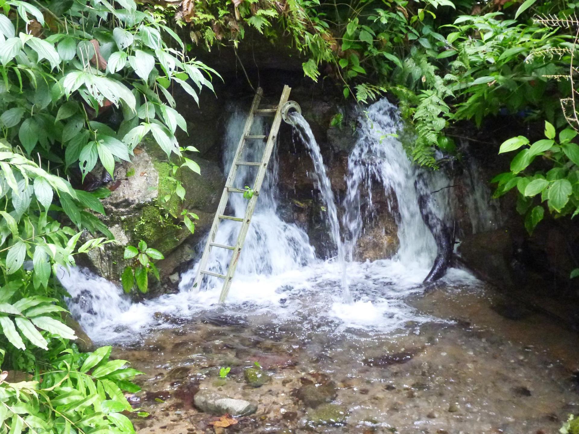 Source Bois Debout, Guadeloupe.