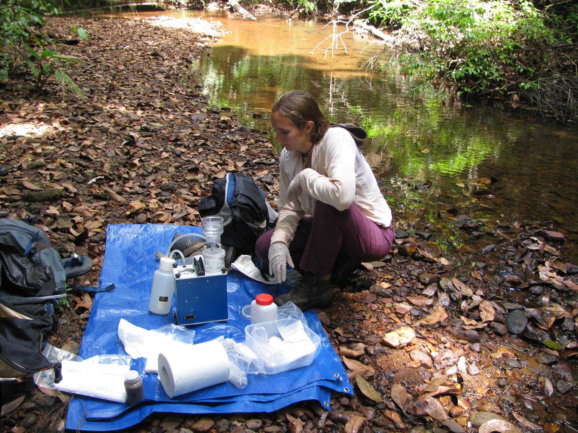 Taking samples of river water, French Guiana