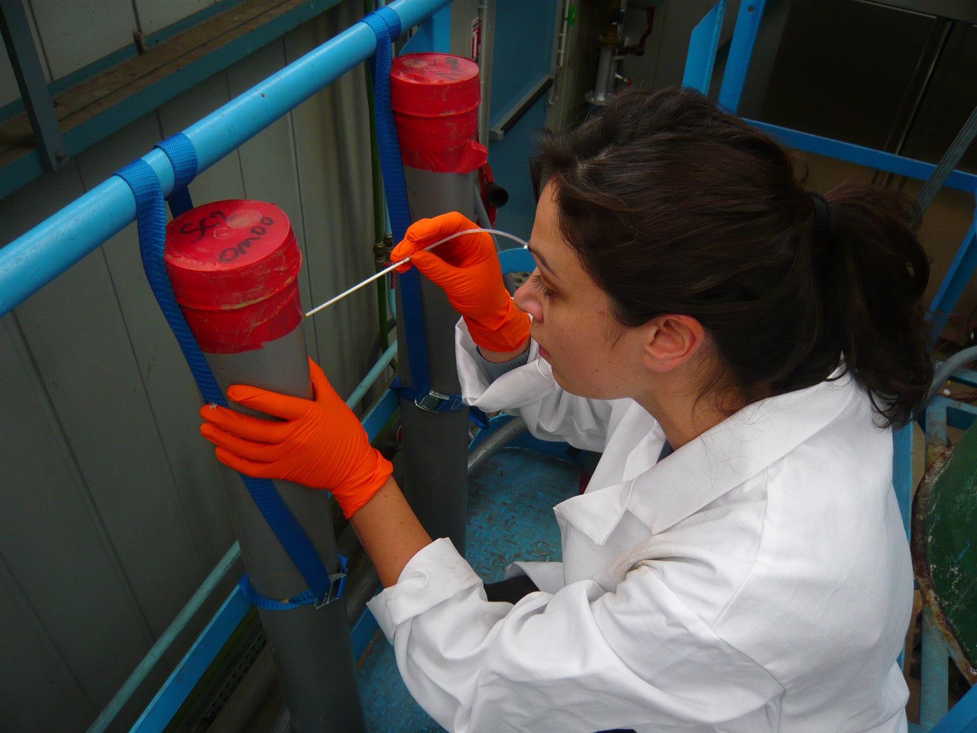 Placing porous cartridges to sample interstitial water in sediment, Manche
