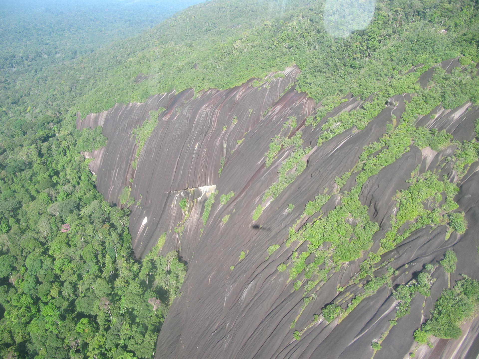 The Trinité Inselberg, French Guiana