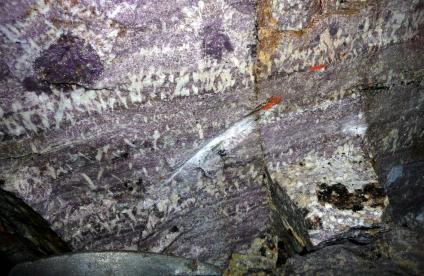 Exemple de roche riche en lithium 