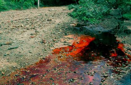  Le Rio de sangre, en République Dominicaine, est contaminé par le drainage acide d'une mine    
