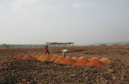 Tas de bauxite extraits d’un puits d’exploration minière