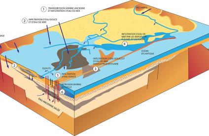 Conceptual model of the aquifers lying beneath the Recife urban area    