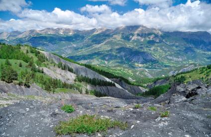  View from the top of the landslide at Super-Sauze 