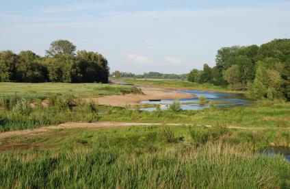 Bras de Loire en basses eaux, Maine-et-Loire