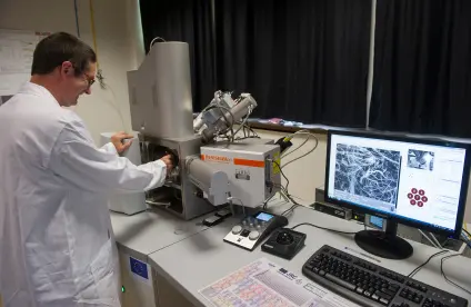 Analyse au microscope électronique à balayage couplé à un spectromètre Raman (2012).