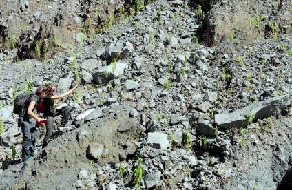 Comprendre la structure interne d’un glissement de terrain avec la géophysique : c'est l'objectif du travail mené par les équipes du BRGM et ses partenaires à la Réunion, dans le cadre du projet RenovRisk Erosion.