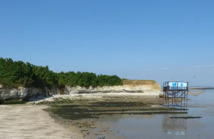 Falaises de l’Île Madame (Port-des-Barques, Charente-Maritime, 2021). 