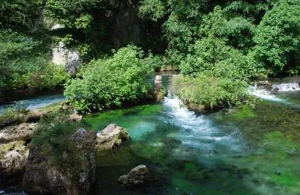 Griffon ou source latérale de la Fontaine de Vaucluse