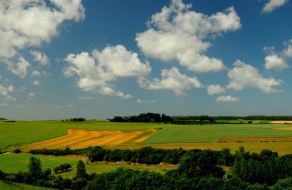 Vue des champs, Picardie