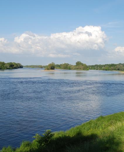 The Loire in the Orléans region 