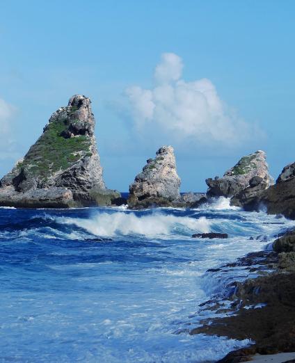 The coastline of the Pointe des Châteaux, Guadeloupe 