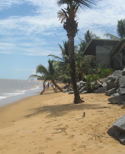 Coastal erosion in French Guiana 