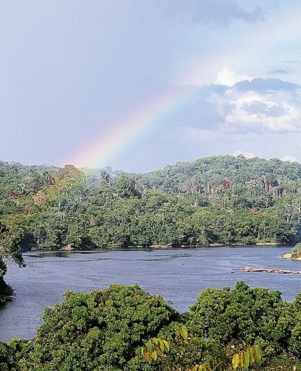 Fleuve Oyapok, Guyane 