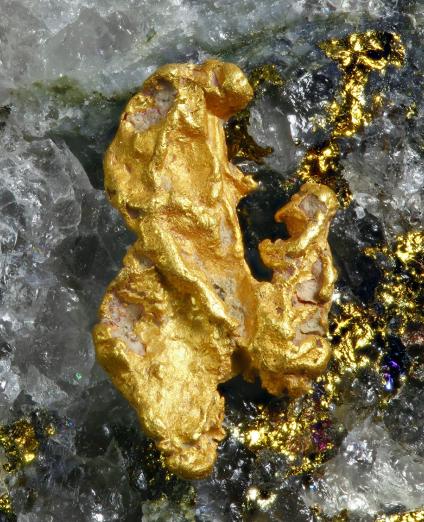Pépite d'or et quartz