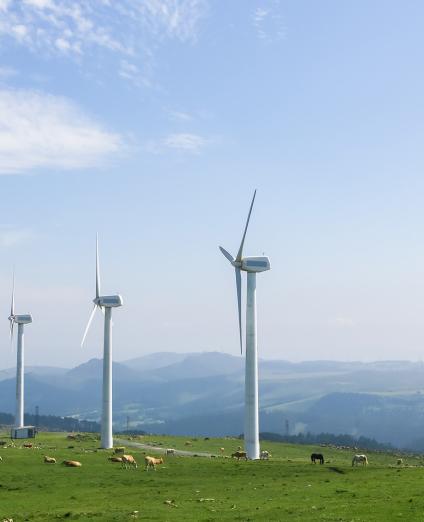 Illustration of a wind farm, Spain