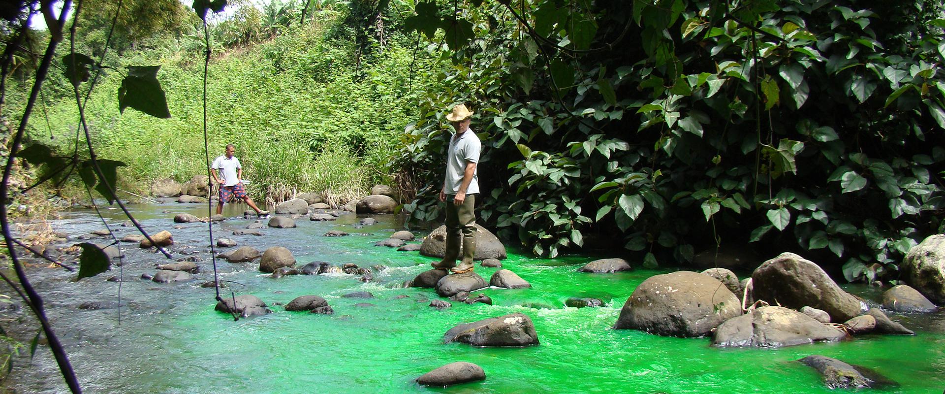 Injecting a tracer prior to taking measurements of river water, Réunion Island