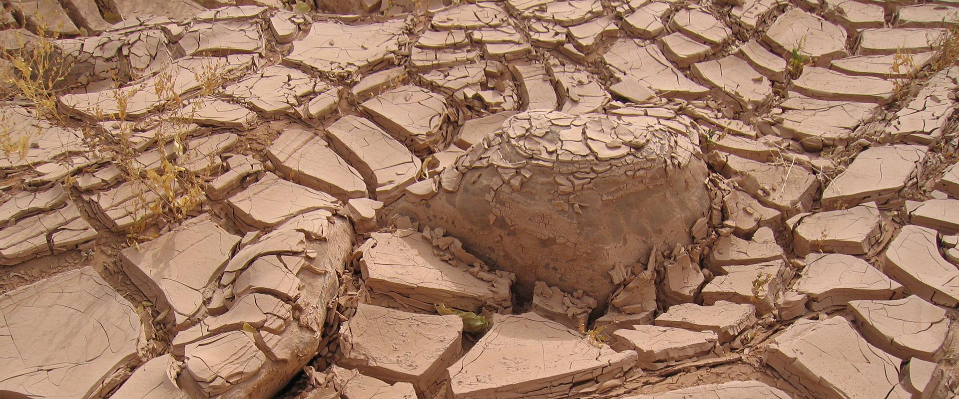 Fentes de dessiccation dans l'argile, Algérie