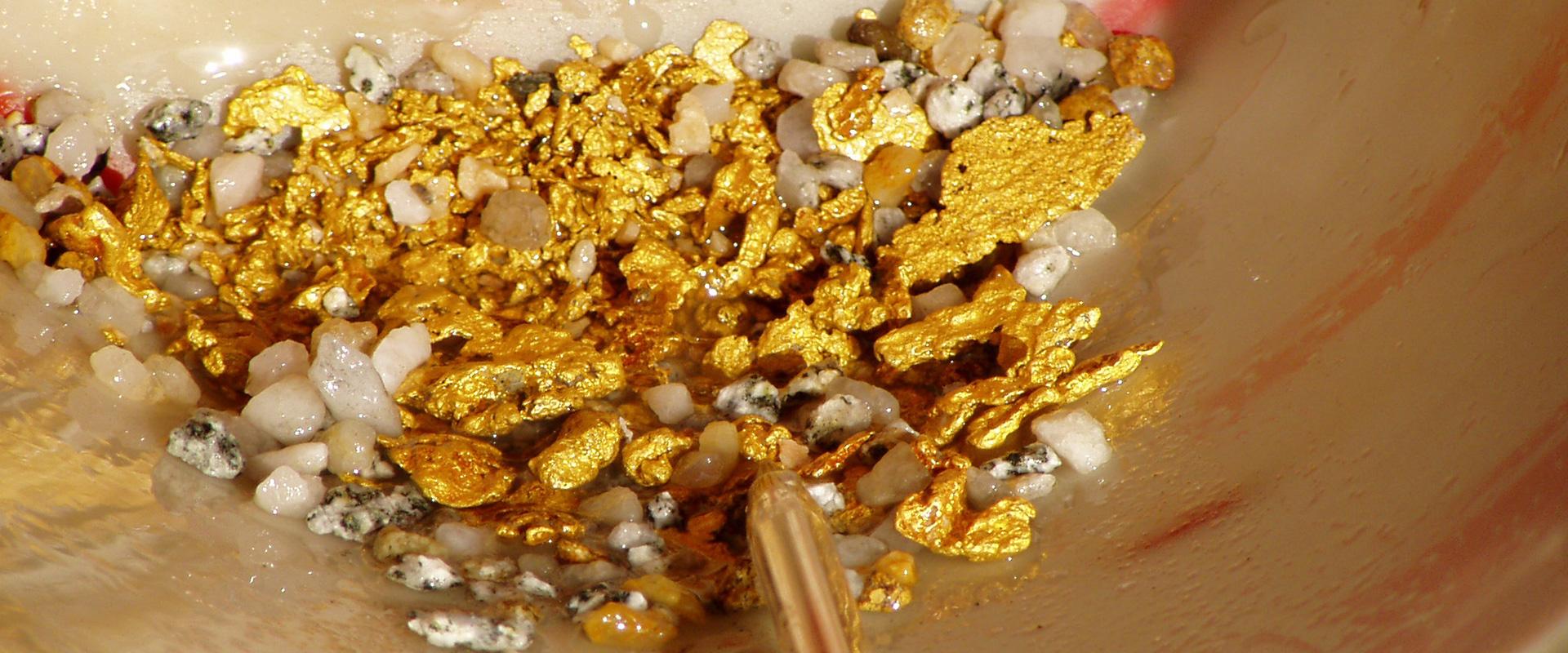 Un concentré de pépites d'or, Guyane
