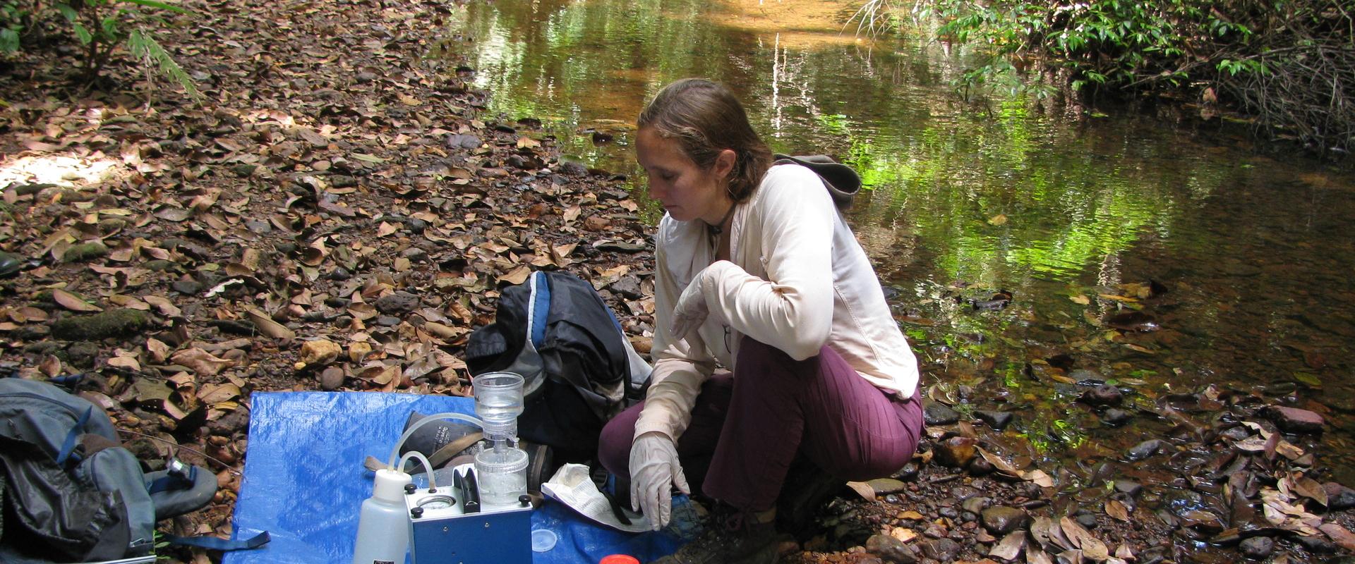 Taking samples of river water, French Guiana