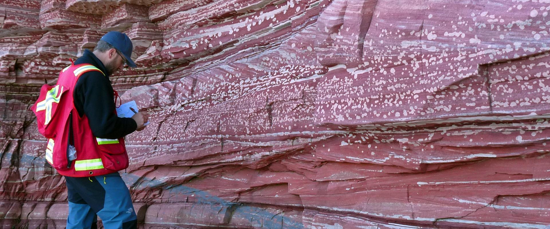 The Sillisit sandstones, Greenland