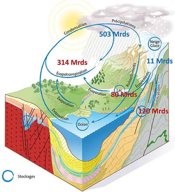 Diagram of the global water cycle.