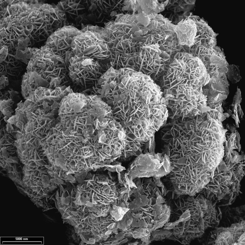 Image au microscope électronique à balayage d'hydroxydes doubles lamellaires. 