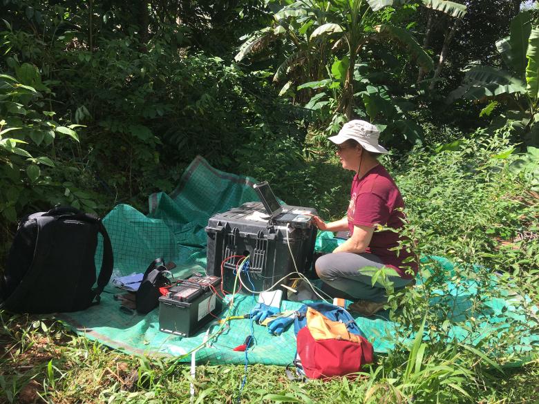Electromagnetic geophysical measurements at Mayotte