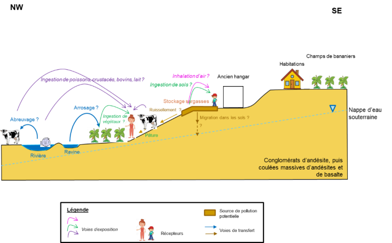 Schéma conceptuel du site de stockage du Marigot