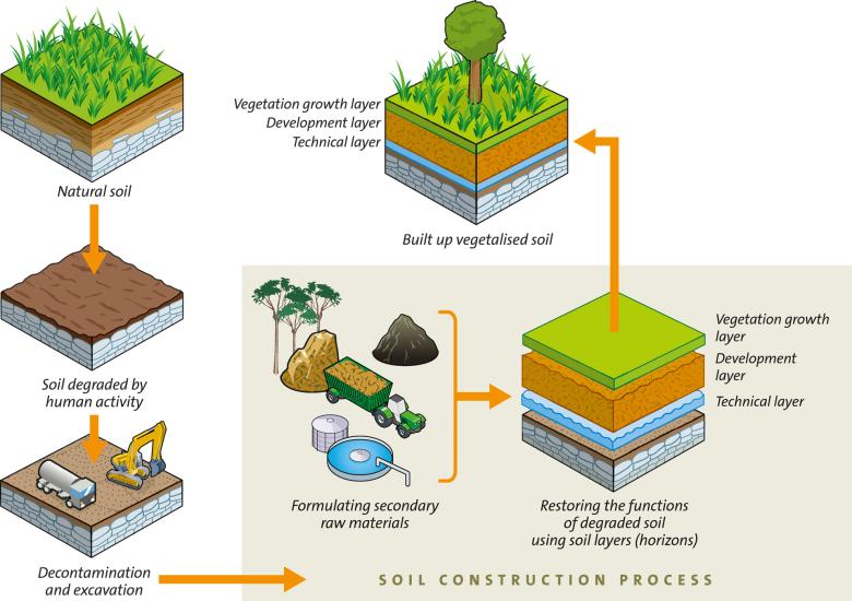 Diagram showing how soil is regenerated
