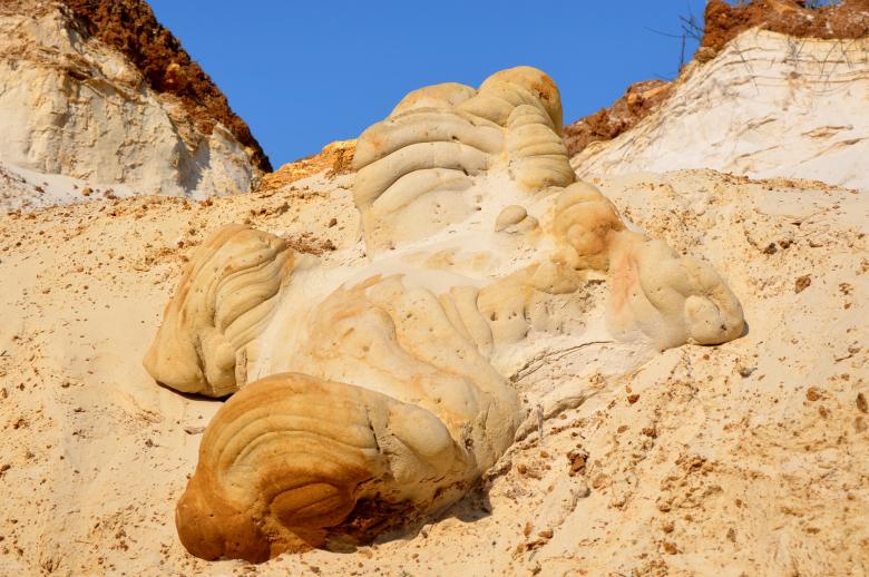 Grès à morphologie noduleuse au sein des sables continentaux stampiens dans l’ouest du massif de Rambouillet. 