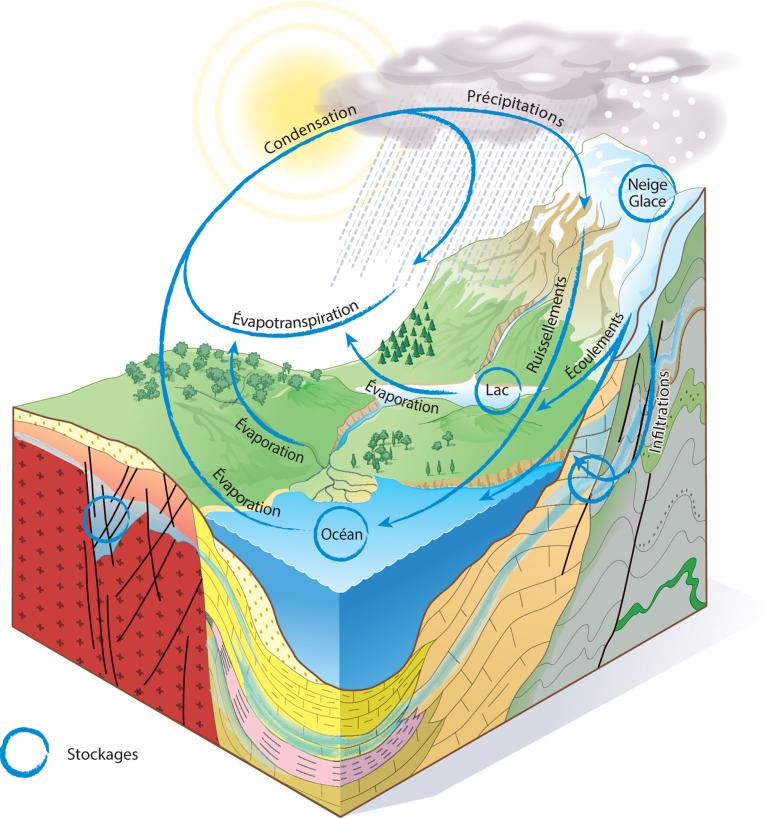 Schéma sur le cycle de l'eau terrestre.