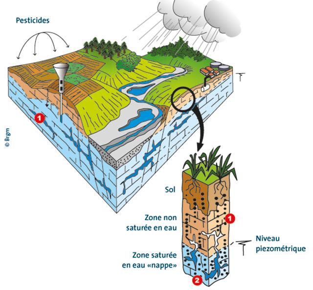 Schéma explicatif du potentiel transfert des produits phytosanitaires et leurs métabolites depuis le sol vers les eaux souterraines.